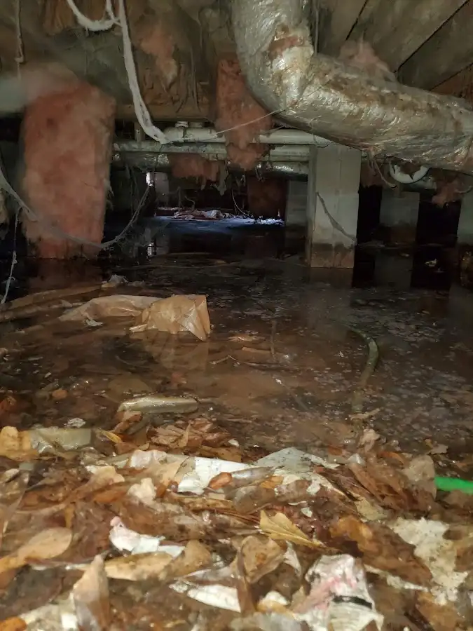Crawl space flood assessment for Leak Detection & Repair in College